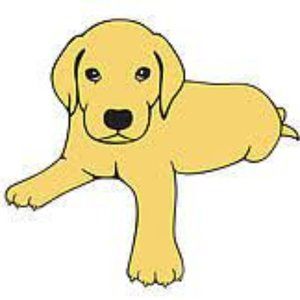 Meet your Posher, Jena